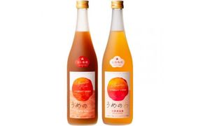 【紀州完熟南高梅使用】濃厚「ねり梅酒」と芳醇「梅酒」各720mlの飲み比べ  / 梅酒 梅 紀州梅酒 南高梅 うめ 梅干し お酒 酒 うめ酒 飲み比べ【tecj1003】