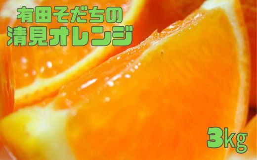 【2025年2月下旬～3月下旬順次発送予定】有田育ちの完熟清見オレンジ(ご家庭用)　約3kg【ard016A】