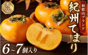紀州てまり（和歌山県ブランド柿）6～7個入 こだわり農家厳選 先行予約 【2026年10月初旬頃から11月中旬頃順次発送】 / 柿 フルーツ 果物 かき 和歌山 かつらぎ 農家直送 贈答 【kgr029】