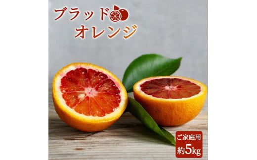 ya̎RI쒬z󏭂Ȋk!IBLcYubhIW5kg yƒpz2026N3{`3{ɏ (͂ws) yuot853z
