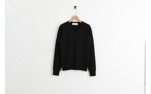 Vネックプルオーバー 度詰(コゲチャ)男性用サイズ:LL(46)≪白田のカシミヤ≫