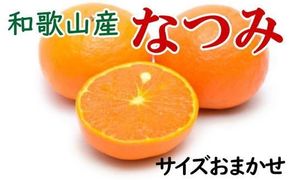 【希少柑橘】和歌山県産なつみ約5kg（S～2Lサイズおまかせ）【tecj1021】