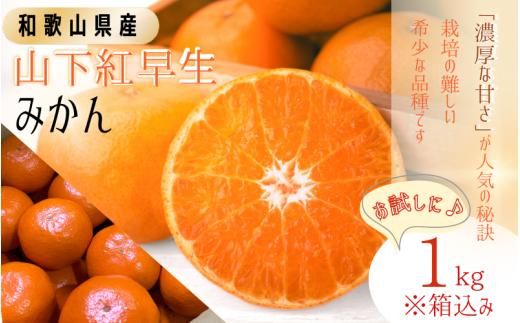 [和歌山県産]秀品 「紅娘」 温州 みかん 山下紅早生 1kg※箱込み「お試しに♪」 [S~2Lサイズおまかせ][2025年11月下旬〜2025年12月中旬までに順次発送][味好農園] /温州みかん