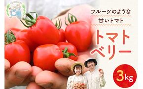 【先行予約：2026年7月下旬頃より発送】NicoFarm トマトベリー（ミニトマト）3Kg_Y124-0013