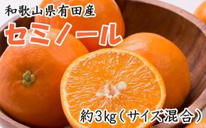 【濃厚オレンジ】和歌山有田産セミノール約3kg（サイズ混合 秀品）【tecj1023】