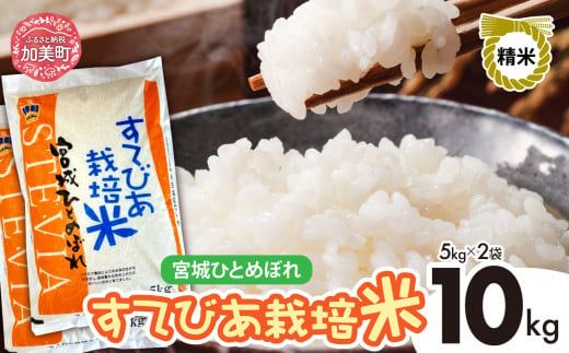精米 令和6年度産 すてびあ栽培米 宮城県産 ひとめぼれ 10kg （ 5kg × 2袋 ）｜ 菅原精米工業 宮城県 加美町 sw00002-r601-10kg ｜ ステビア すてびあ 米 コメ ヒト