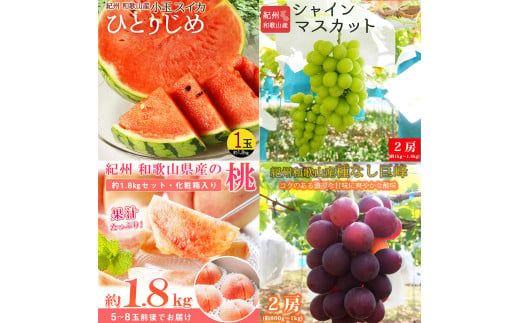 【全4回】紀州和歌山産旬のフルーツ定期便 (スイカ・桃・巨峰・シャインマスカット) / すいか スイカ もも 桃 白桃 巨峰 マスカット シャインマスカット 葡萄 ぶどう 果物 くだもの フルーツ フ