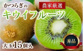 【先行予約】 先行予約！和歌山県産 秀品 キウイフルーツ 大玉15個入 こだわり農家厳選  【2025年12月初旬頃から2026年1月中旬頃順次発送】/ キウイ キウイフルーツ 果物 フルーツ おやつ