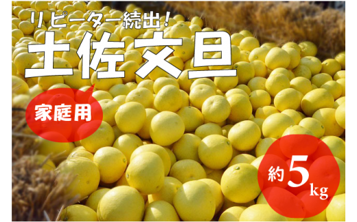 ymzmzy2026NziƒpjyUi5kg/8`12ʁj@t[c ʕ VN Y