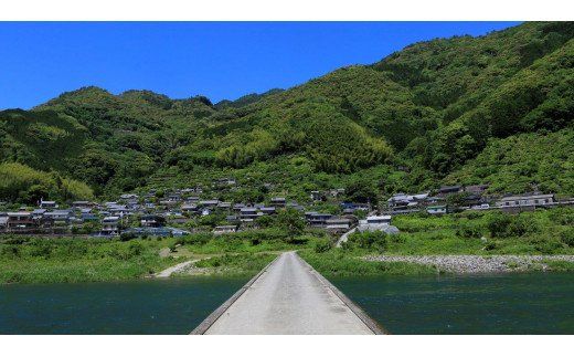 【返礼品なし】食育支援 5,000円