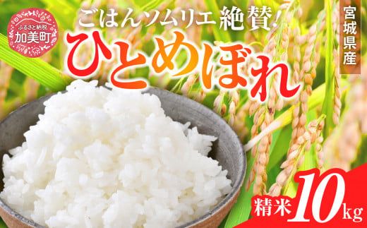  精米 令和6年産 宮城県産ひとめぼれ 10kg [菅原商店 宮城県 加美町 ]  | sg00001-r601-10kg