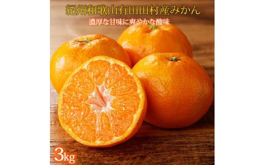 【先行予約】高級ブランド 秀品 紀州有田田村産みかん 3kg ※2025年12月頃〜2026年1月下旬頃に順次発送予定 / みかん ミカン 蜜柑 温州みかん 柑橘 フルーツ 果物 【uot848】