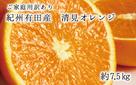 【ご家庭用訳アリ】紀州有田産清見オレンジ　7.5kg ※2026年3月下旬頃〜2026年4月中旬頃に順次発送予定(お届け日指定不可)【uot730】