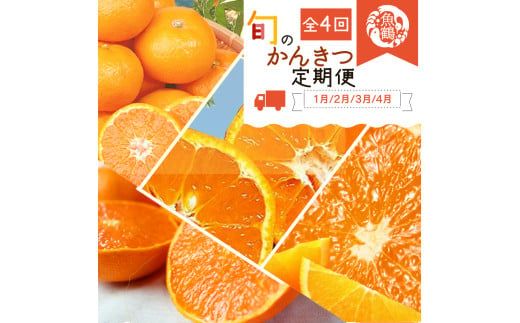 ya̎RV{szy4ցz{̊k / ݂ ~J k IW ʕ  t[c t[c a̎Rytkb416z