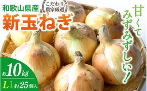 和歌山県産新玉ねぎ約10kg　Lサイズ 約25個入り　こだわり農家厳選！【2027年4月末頃～6月中旬に発送予定】人気 おすすめ たまねぎ 玉ねぎ 玉葱 タマネギ オニオン スープ サラダ 国産 野菜 新鮮 ビッグサイズ 大きい BBQ【kgr033】