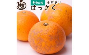 【先行予約】家庭用はっさく5kg+250g（傷み補償分）＜１月より発送＞/ みかん ミカン 有田みかん 柑橘 フルーツ 果物 和歌山 オレンジ【ikd140A】