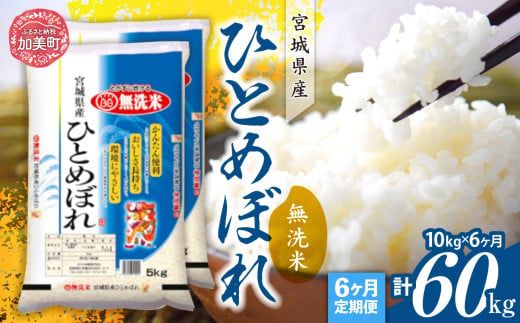 【定期便6回】令和6年産 宮城県産 ひとめぼれ 無洗米10kg(5kg×2）×6回   [ カメイ 宮城県 加美町 ]  お米 こめ コメ 精米 白米 ひとめぼれ | km00012-r6-10kg-