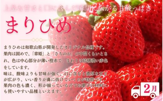定期便 フルーツ 【全3回】紀州和歌山産 旬のフルーツ定期便（いちご・桃・巨峰） 【tkb400】