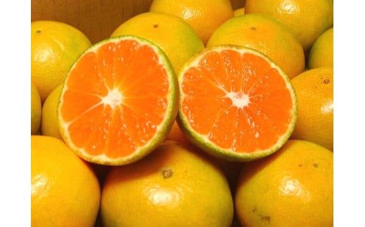 濃厚な味わい ご家庭用 ゆら早生みかん　約4kg　サイズ混合【10月上旬より発送】希少品種《有機質肥料100％》※2026年10月～11月に順次発送予定【nuk162B】