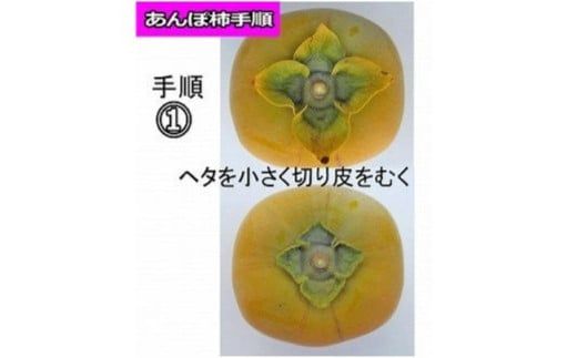 甘さが違う！とっても甘くなる生渋柿（平たねなし柿）あんぽ柿用 T軸枝無 約14.5～15kg　約60～90個＜2026年10月中旬～11月上旬ごろ順次発送＞【art002B】