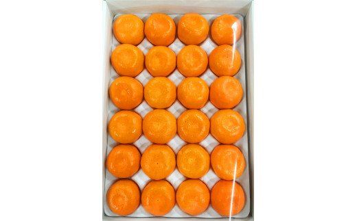 赤秀品　紀州和歌山ハウスみかん2.5kg【予約】※2026年6月下旬頃～7月下旬頃に順次発送予定(お届け日指定不可)【uot735A】