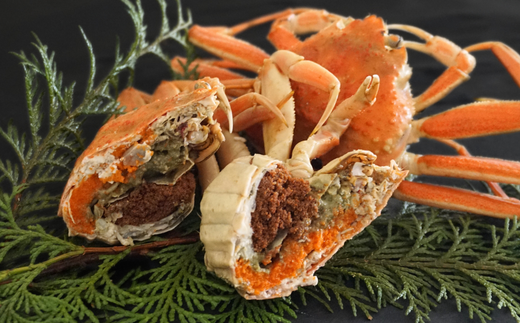 【訳あり セコガニボイル（冷凍）7匹】カニ かに 蟹 松葉がに 松葉ガニ せこがに せいこがに メスガニ 外子 内子 卵 カニ味噌 濃厚 急速冷凍 浜茹 数量限定 産地直送 鮮度抜群 大人気 リピーター続出 やみつき 香美町 香住 柴山 国産 04-06