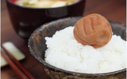 完熟南高梅 白梅干し 1.25kg 塩分約20％ 完全無添加 サイズ混合 ご家庭用/梅 うめ ウメ 梅干し 梅干 南高梅 白干 白干し 白梅 白梅干し 完熟 大粒 無添加 大容量 ご自宅用 和歌山県 北山村【njb647-1】