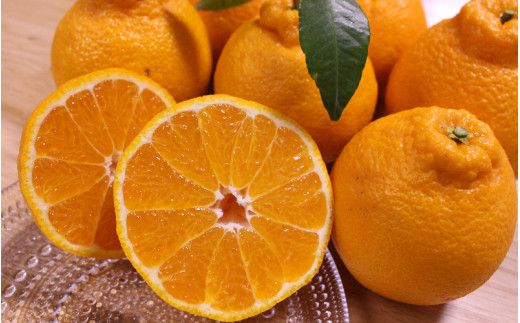 ＼ みかんの名産地 和歌山県産／ 農家直送 不知火 約5kg(18～24玉) ひとつひとつ手選別で厳選【2026年2月中旬～3月下旬ごろに順次発送予定】【hdm002A】