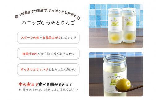 果実入り清涼飲料水 ハニップＣ 2種類セット（30本） / ドリンク 飲料 ジュース 梅 うめ りんご【prm001A】