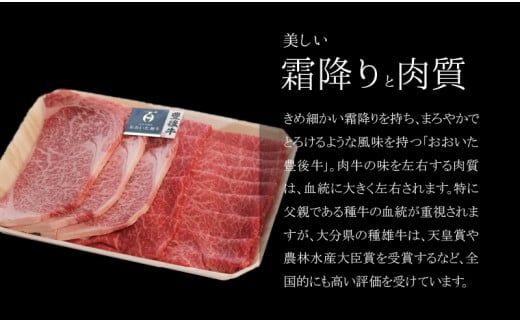 【A01063】 百年の恵 「おおいた和牛」 ステーキ・うす切詰合せ Aセット約700g