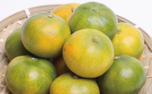 プレミアム 有田 みかん ( ゆら早生 ) 10kg+250g（傷み補償分） / 有田みかん 甘い 柑橘 フルーツ 果物 和歌山 ※2026年10月上旬〜11月中旬頃に順次発送予定 ※北海道・沖縄・離島への配送不可 【ikd003-prem-10A】