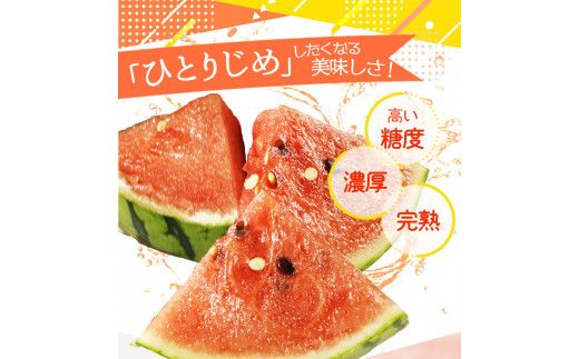 紀州和歌山産小玉スイカ「ひとりじめ」２玉【予約】※2026年6月上旬頃～7月上旬頃に順次発送予定(お届け日指定不可) スイカ すいか 果物【uot779】