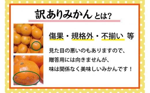 【訳あり】農家直送 有田みかん 約5kg ご家庭用 サイズ混合 ※2024年11月中旬から2025年1月中旬までに順次発送予定（お届け日指定不可）【nuk161】