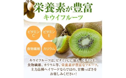 【先行予約】 先行予約！和歌山県産 秀品 キウイフルーツ 大玉15個入 こだわり農家厳選  【2025年12月初旬頃から2026年1月中旬頃順次発送】/ キウイ キウイフルーツ 果物 フルーツ おやつ