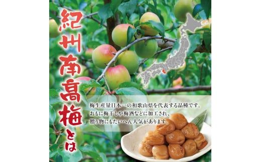 紀州南高梅　うす塩【ハチミツ入】 塩分10%（750g）なかやまさんちの梅干 うめ ウメ 梅干し【nky006-175k】