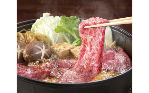 牛肉 飛騨牛 肩ロース肉 すき焼き用 500g 牛 肉 肩ロース ロース すきやき 赤身 飛騨 F4N-1717