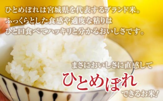 米 無洗米 金芽米 令和6年 宮城県 加美産 ひとめぼれ 特別栽培米 120kg （ 5kg × 24袋 ） [ 宮城県 加美町 ]  お米 こめ コメ 精米 白米 玄米 きんめまい おすすめ 新米 