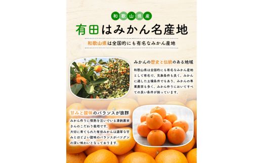 【10月発送】有田育ちのご家庭用完熟 有田みかん 8.5kg＋200g （傷み補償分）【ard196B-10】
