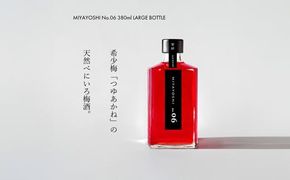 966.MIYAYOSHI No.06 LARGE BOTTLE（A966-1）