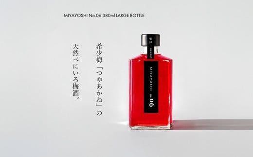 ya̎RLcsz966.MIYAYOSHI No.06 LARGE BOTTLEiA966-1j