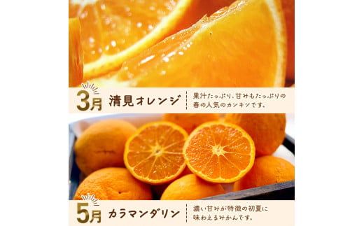 和歌山旬のカンキツ定期便【M】全4回（配送日時指定不可）※北海道・沖縄・離島への配送不可 / 定期便 フルーツ みかん 清見オレンジ 青切り 青切りみかん カラマンダリン 4回 【ard-tkb903