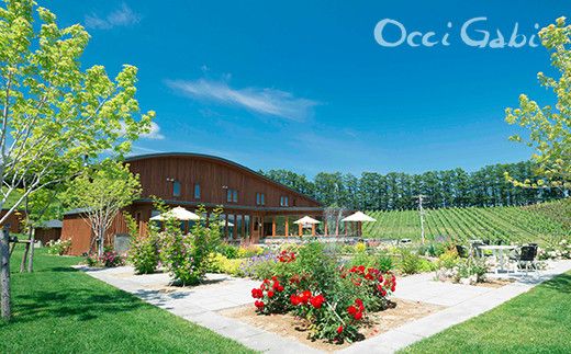 【OcciGabi Winery】オチガビ・ヴァン・ブラン 【余市のワイン】 余市 北海道 白ワイン ミュラートゥルガウ ケルナー シャルドネ ワイン 余市のワイン 北海道のワイン 日本のワイン 国産