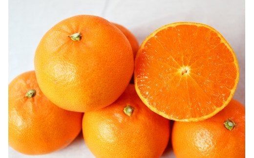 【ご家庭用訳あり】ジューシー柑橘 せとか 約3kg【先行予約】※2026年2月中旬頃〜2026年3月中旬頃発送予定（お届け日指定不可）せとか みかん 柑橘 フルーツ 果物 くだもの【uot834A】