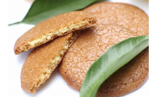 みかんサブレ 24枚入り　高級バターを贅沢に使ったサクサク食感のお菓子！ サブレ クッキー 詰め合わせ 菓子 お菓子 ギフト【fks100A】