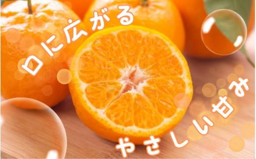 秀品 ポンカン 2kg ※箱込み 【S~2Lのサイズおまかせ】【2026年1月下旬から2月中旬頃に順次発送】＜味好農園＞/ ぽんかん 蜜柑 みかん 柑橘 果物 フルーツ 【agy027】