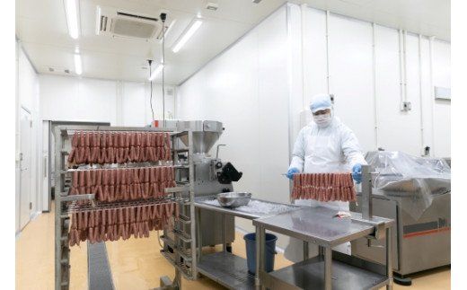 わかやまジビエソーセージ　猪・鹿１０パックセット 【mtf104】