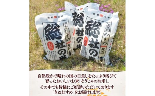 【令和7年産米】特Aきぬむすめ【精白米】30kg 定期便（15kg×2回）岡山県総社市〔令和8年2月・4月配送〕25-048-014