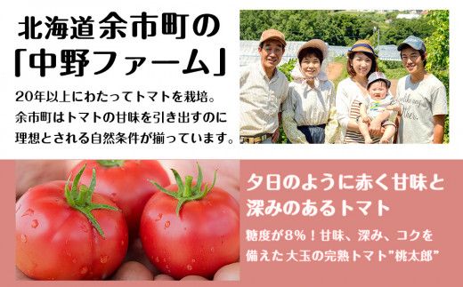 セコマ 北海道余市町産 完熟トマト酎ハイ 350ml×24本_Y020-0663