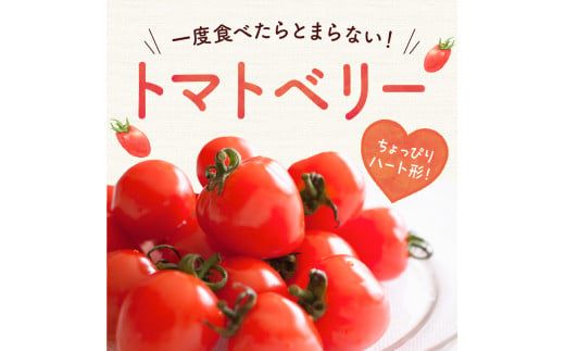 【先行予約：2026年7月下旬頃より発送】NicoFarm トマトベリー（ミニトマト）2Kg_Y124-0012