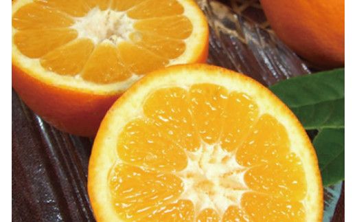 伊予柑(いよかん) 約5kg/サイズおまかせ　※2026年1月中旬～2026年2月中旬頃に順次発送予定(お届け日指定不可)　紀伊国屋文左衛門本舗　【ntbt441B】